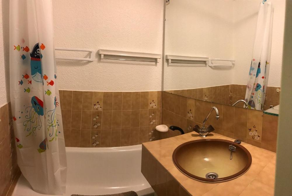 Studio 4 Personnes Rez De Jardin A Ancelle 05260 外观 照片